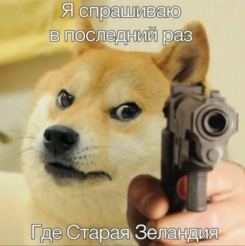 Doge спрашивает в последний раз