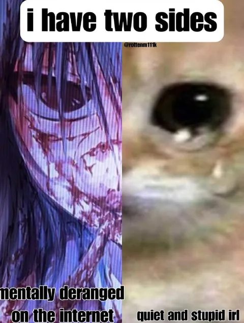 I Have Two Sides