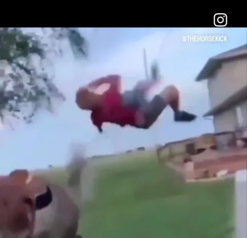 Directed by Michael Bay