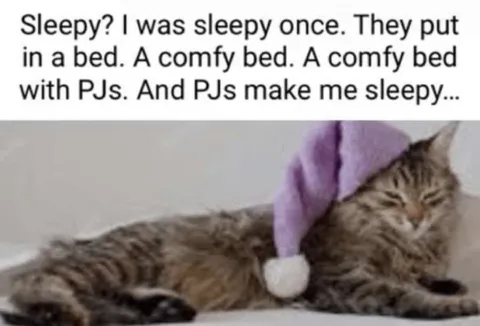 Sleepy Cat in Pajamas