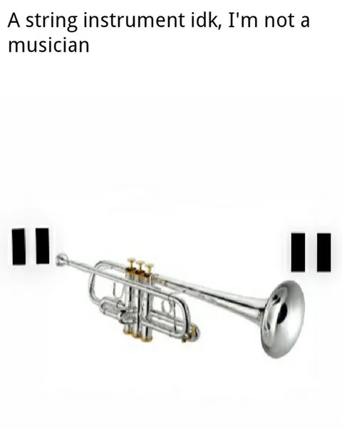 String Instrument Mistake