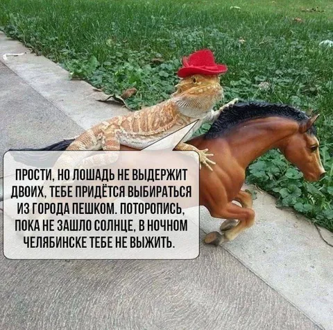 Лошадь не выдержит двоих