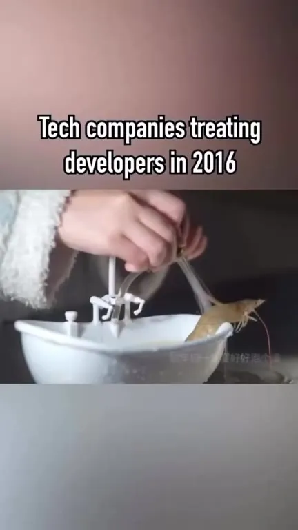 Tech Companies Treating Developers