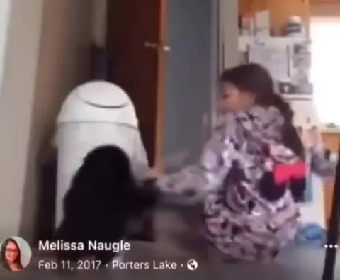 I Have Witnesses Cat