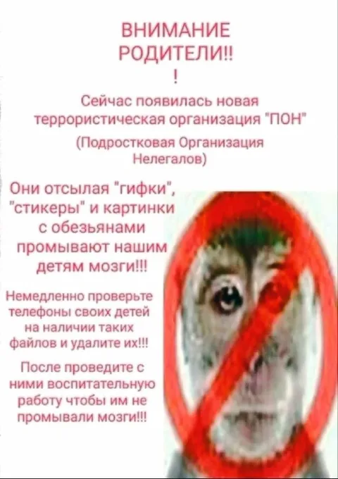 Террористическая организация ПОН