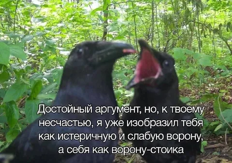 Истеричная и слабая ворона