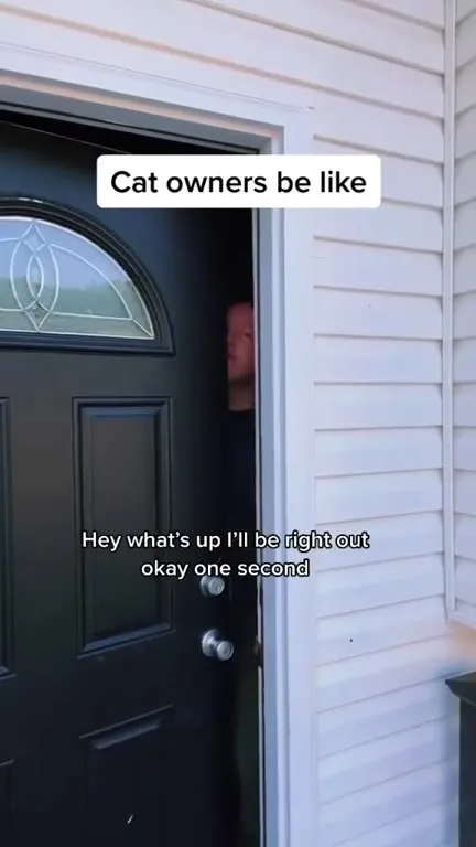 Cat Owners Panic When Door Opens