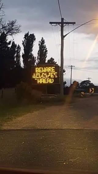 Beware of Heard Alligators