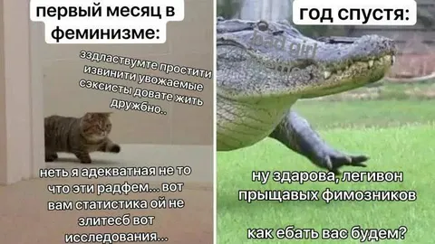 Первый месяц и год спустя в феминизме