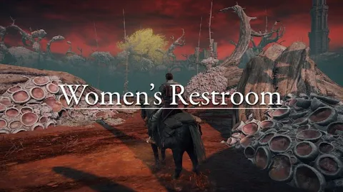 Elden Ring Women's Restroom