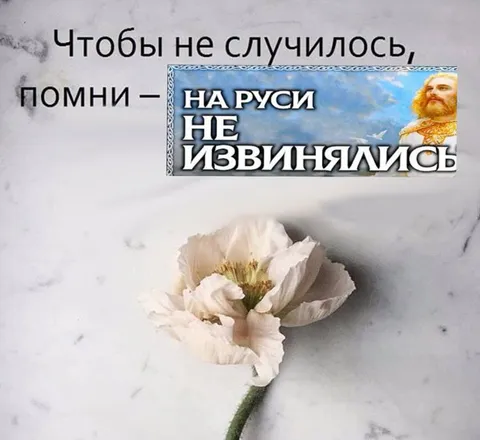 На Руси не извинялись