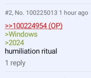 Windows 2024 Humiliation Ritual