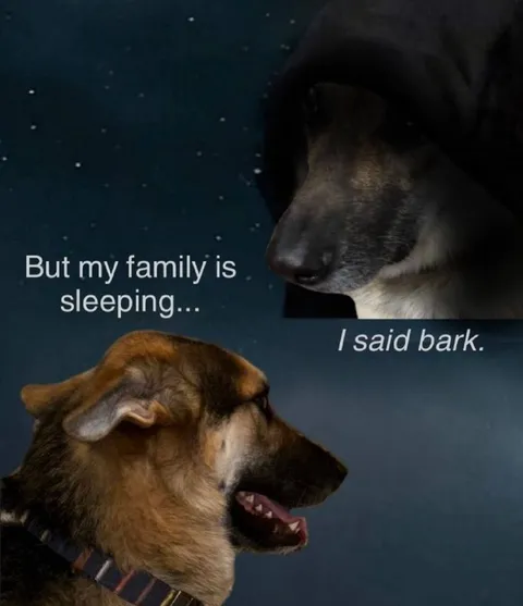 When Your Family Is Sleeping