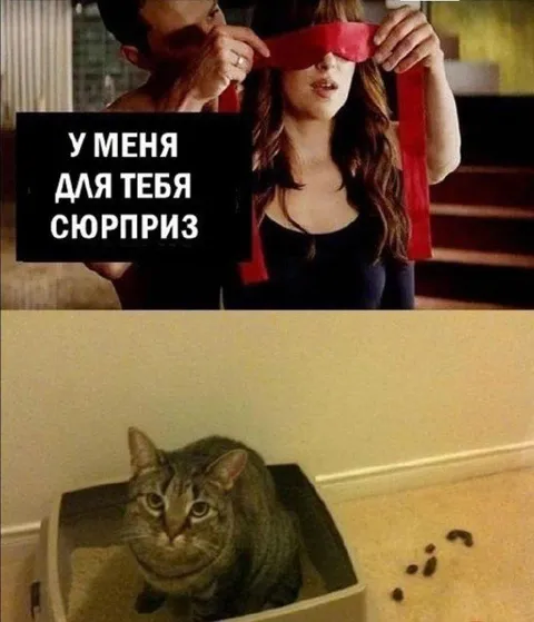 Сюрприз в коробке