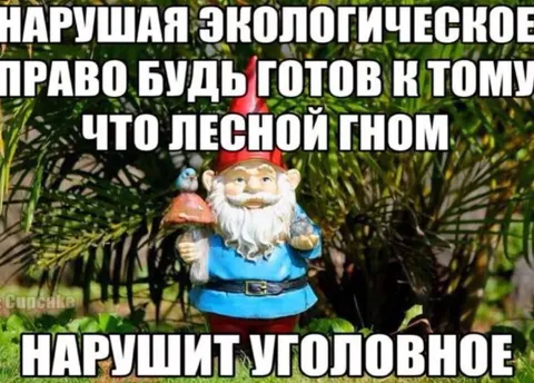 Лесной гном и уголовное право