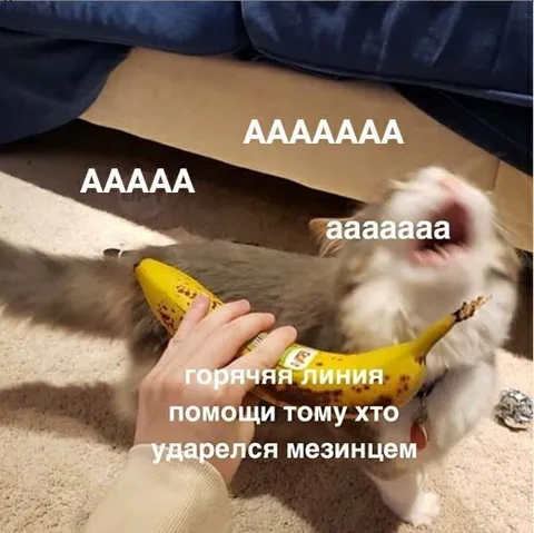Горячая линия помощи мизинцу