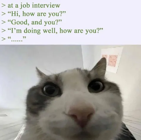 Cat Freezes at Job Interview