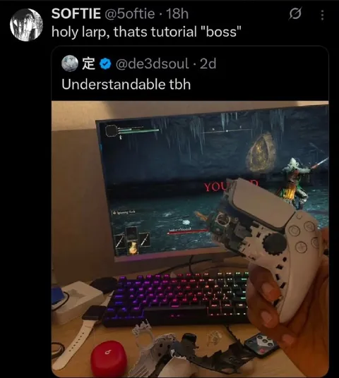 Tutorial Boss Is Understandable