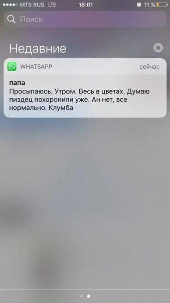 Проснулся весь в цветах