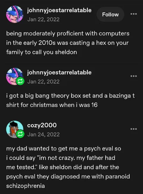 Sheldon-Level Computer Proficiency