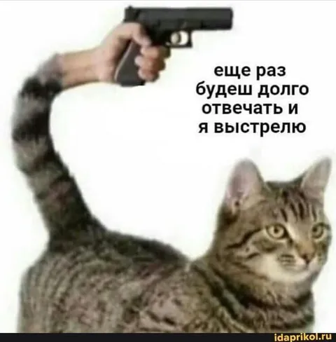 Кот с пистолетом вместо хвоста