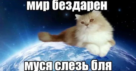 Муся слезь с Земли