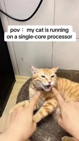 Cat Running on One Core