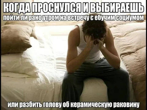 Выбор между социумом и раковиной