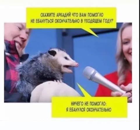 Аркадий окончательно ебанулся
