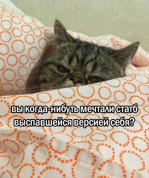 Выспавшаяся версия себя