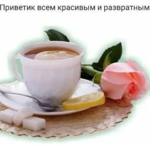 Чай для красивых и развратных