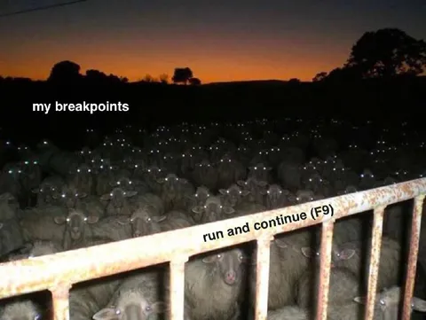 My Breakpoints Run and Continue