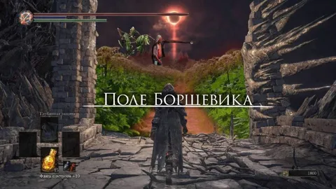 Поле борщевика
