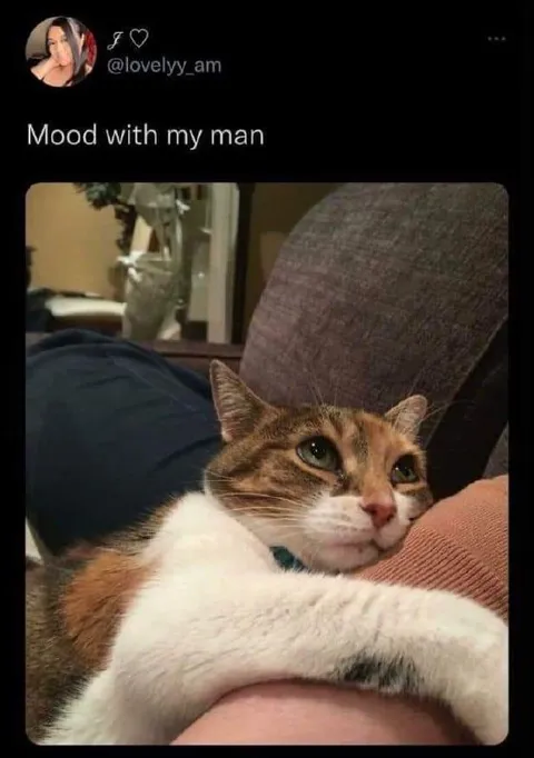 Mood With My Man Cat