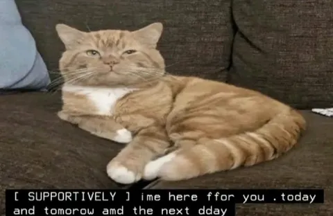 Supportively Here for You