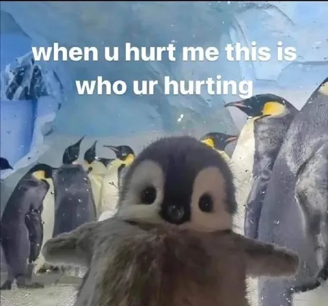 When You Hurt Me This Is Who You’re Hurting