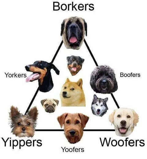 Dog Barking Taxonomy Chart