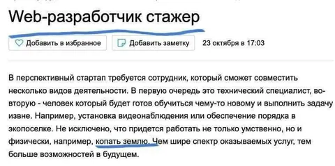 Web-разработчик стажер копает землю