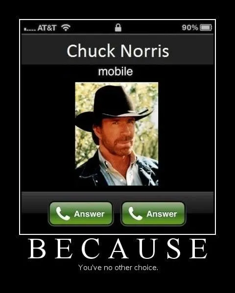 Chuck Norris Has No Other Choice