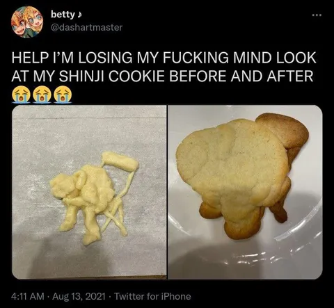 Shinji Cookie Before and After