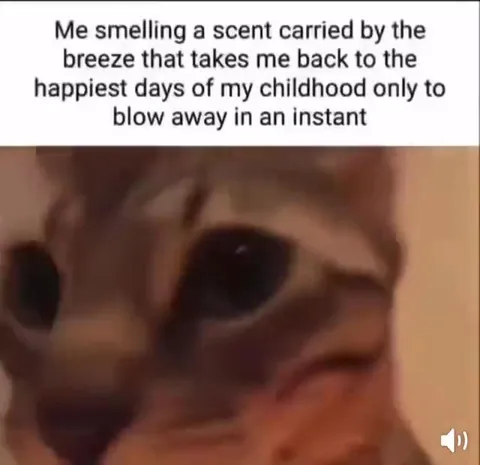 Nostalgic Scent Blows Away