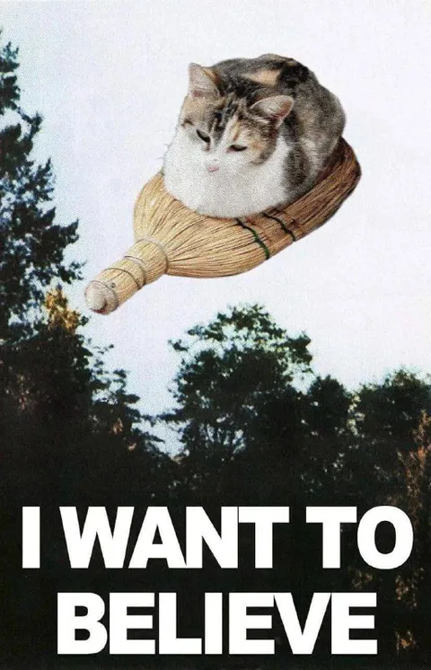Cat Wants to Believe