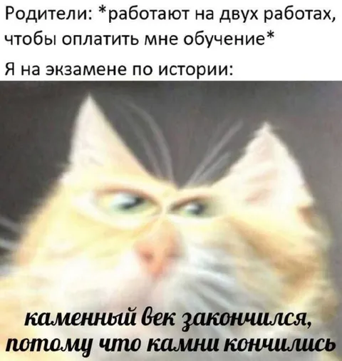 Каменный век закончился на экзамене