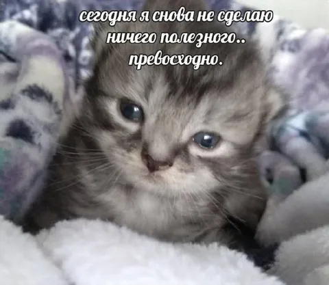 Сегодня снова ничего полезного