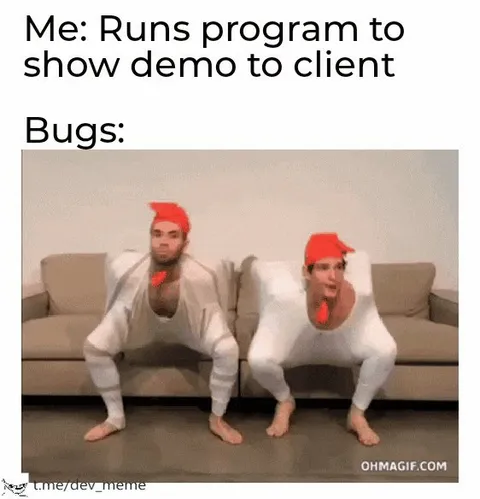 Bugs Ruin the Client Demo