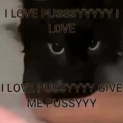 Black Cat Loves Pussy