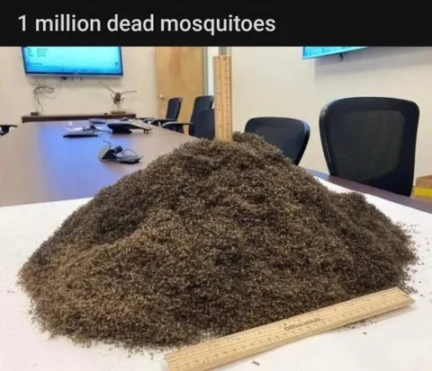 One Million Dead Mosquitoes