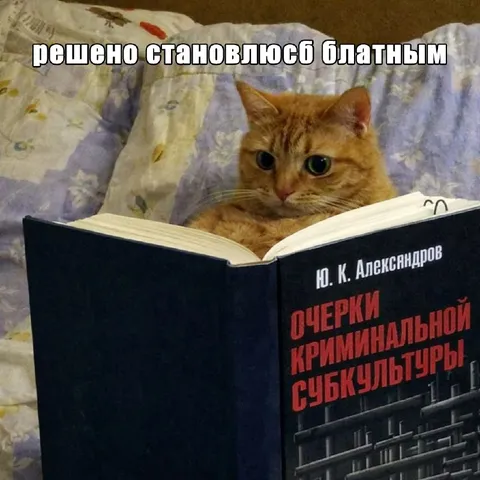 Решено, становлюсь блатным