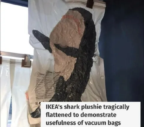 Flattened IKEA Shark Plushie
