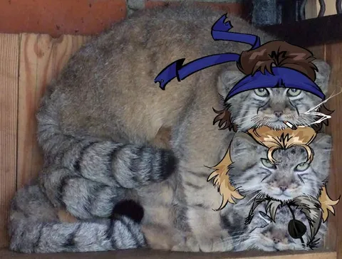 Коты-воины на семейной фотографии
